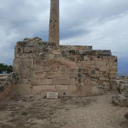 Xenia *